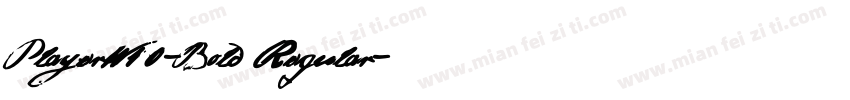 PlayerW10-Bold Regular字体转换
